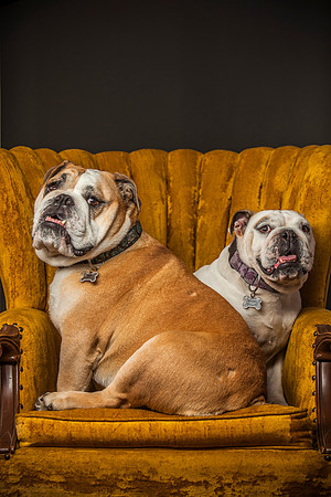 Kingston & Lotus