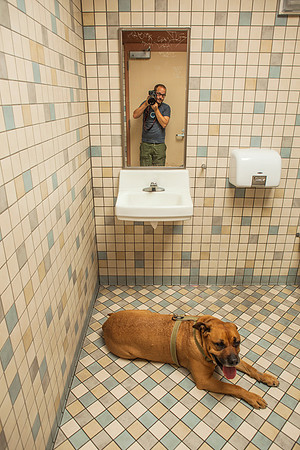 Bodhi - Coso Safety Roadside Rest Area - California - 2012