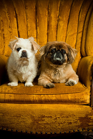 Wink & Max